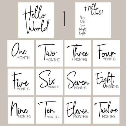 WHOLESALE- "Hello World" Acrylic Birth Announcement Sign Set