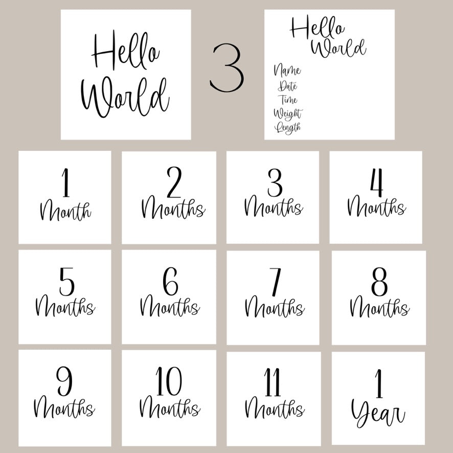 WHOLESALE- "Hello World" Acrylic Birth Announcement Sign Set