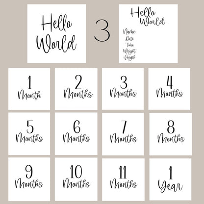 WHOLESALE- "Hello World" Acrylic Birth Announcement Sign Set